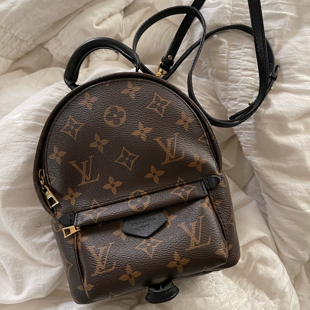 Louis Vuitton Palm Springs Mini Backpack